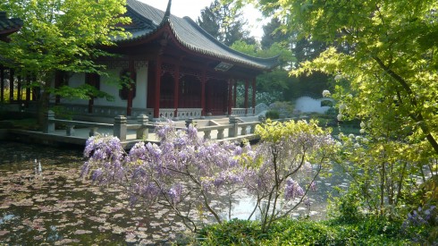 hortus haren