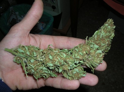 weed