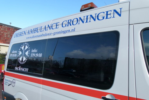 “Kippenvel toen we de hond na vier weken eindelijk konden vangen” - Oog TV