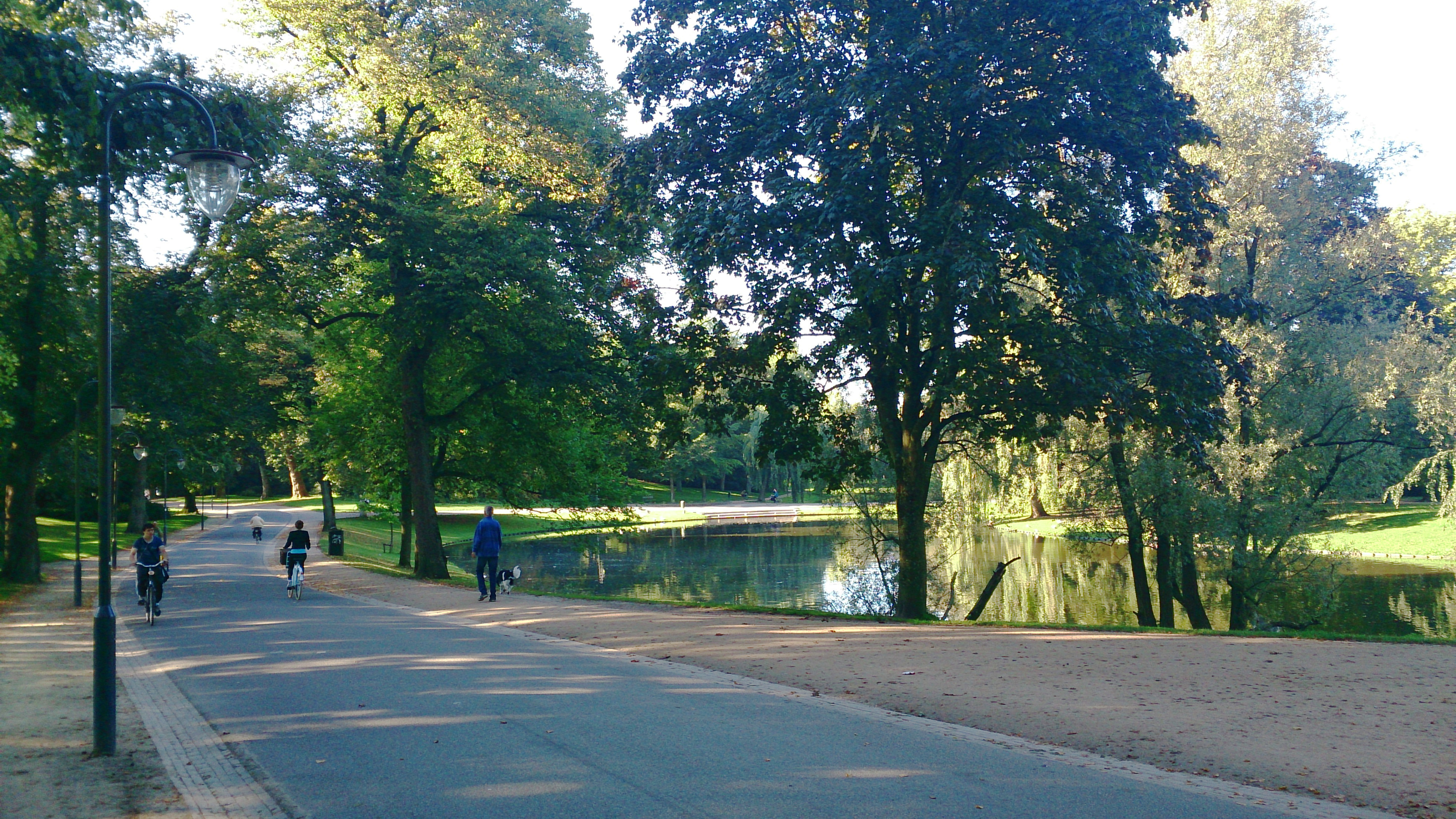 Leliesingel door Noorderplantsoen vrijdag deels afgesloten