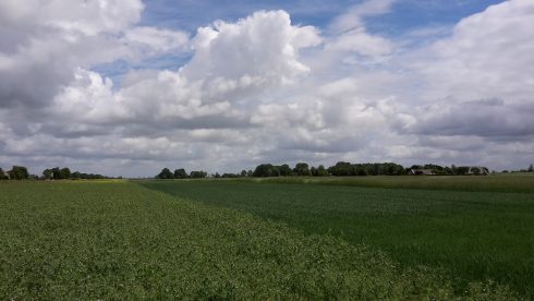 Biologische boerderij Het Geweidehof zondag open - Oog TV