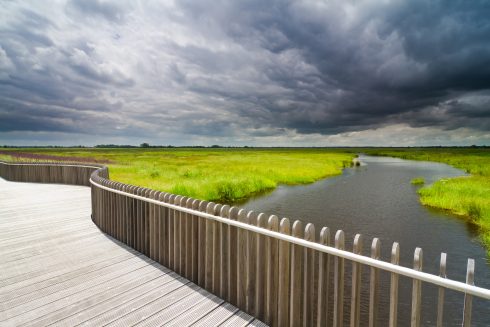 Waterbergingsgebied De Onlanden wordt vergroot: “Draagt bij aan veiligheid”