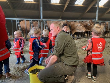 Lammetjesfeest in Onlanderij: “Ik vind de schaapjes heel lief” - Oog TV