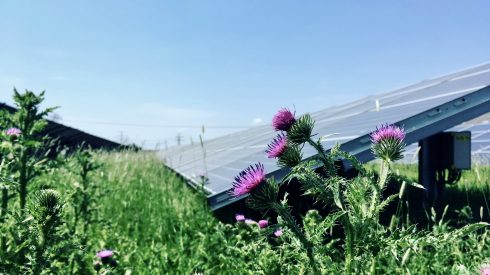 Grunneger Power helpt bewoners Lageland bij participatieproces zonnepark - Oog TV