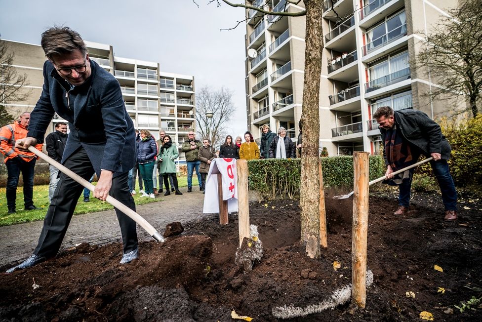 https://www.oogtv.nl/wp-content/uploads/2019/11/Nijestee-bomen-planten.jpg