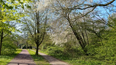 Vrouwen lastiggevallen in Stadspark: ‘Tieners waren uit op opstootje om te filmen’ - Oog TV