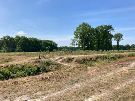 Natuurgebieden verdrogen razend snel