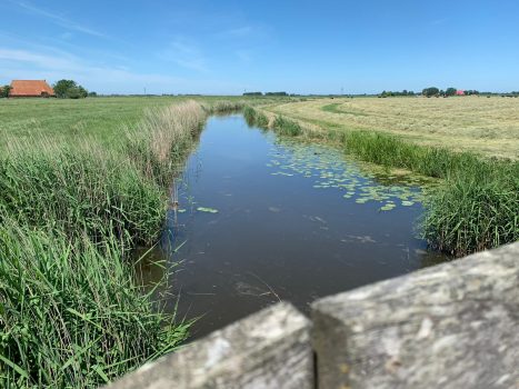 "Op donderdag bewolkt en lichte regen, op zaterdag zomers warm" - Vimarsana News