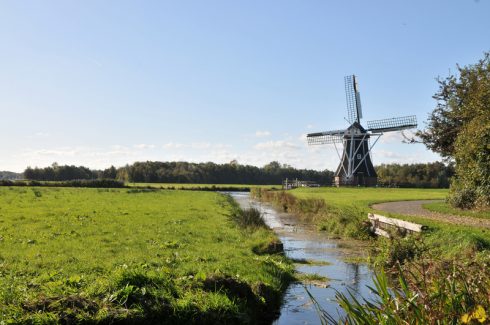 Oostkant Meerweg wordt ingericht als natuurgebied - Oog TV