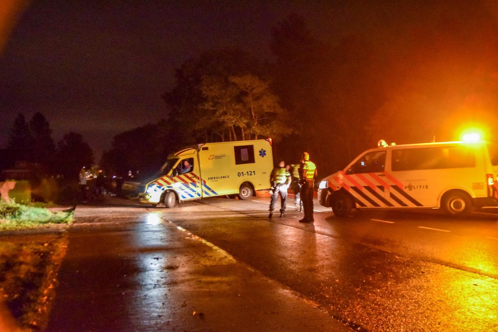 Loslopend paard overleeft aanrijding met bestelbus niet