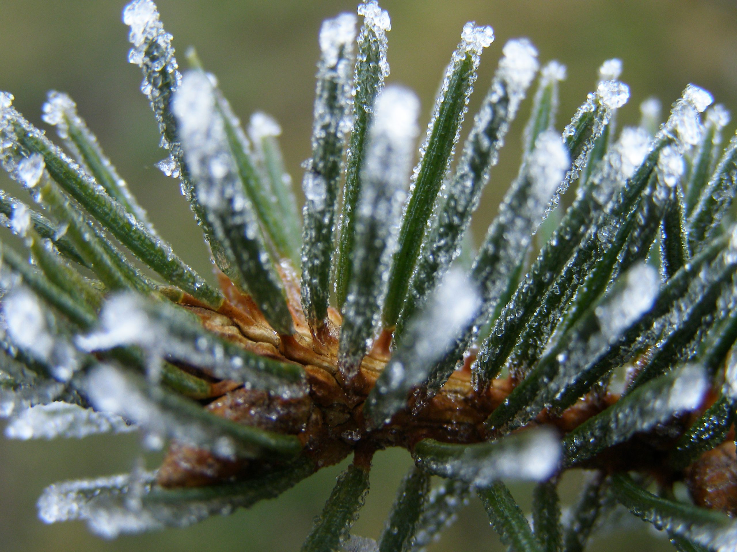 Eerste lokale vorstdag van het seizoen een feit, Eelde daalt naar -0,5 graden