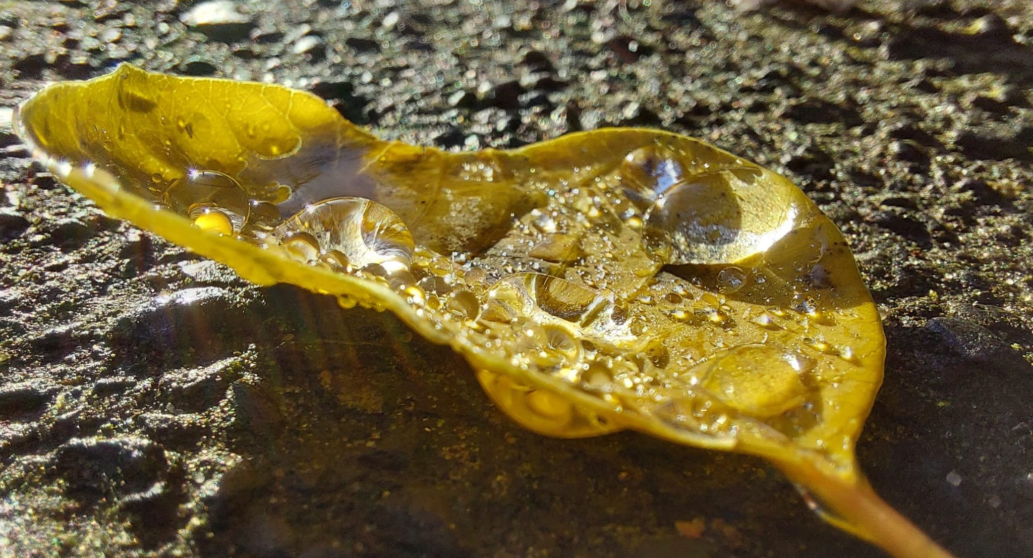 Vooral bewolking en nu en dan neerslag tot na het weekend
