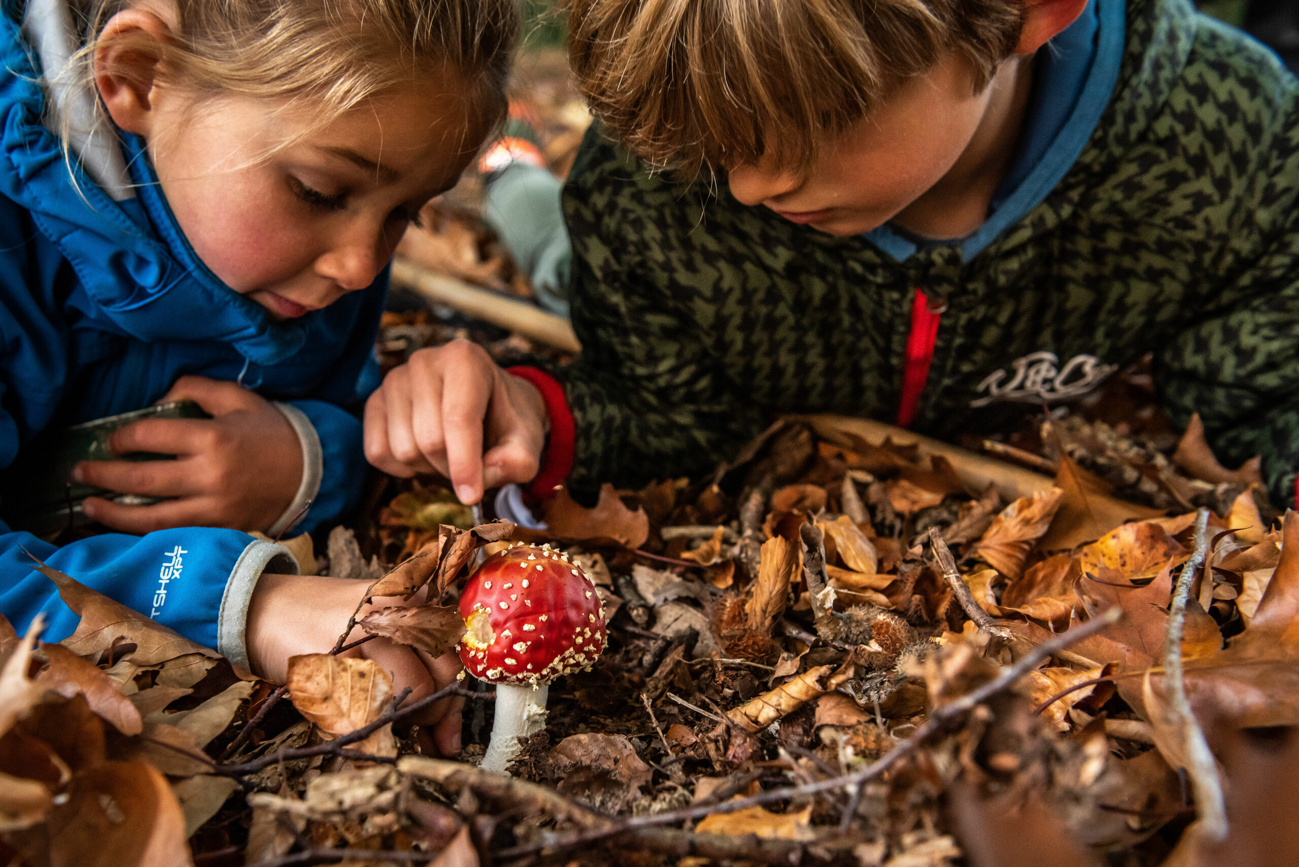 Kinderen kunnen boswachter worden: “Stap voor stap leer je alle skills” - Oog TV