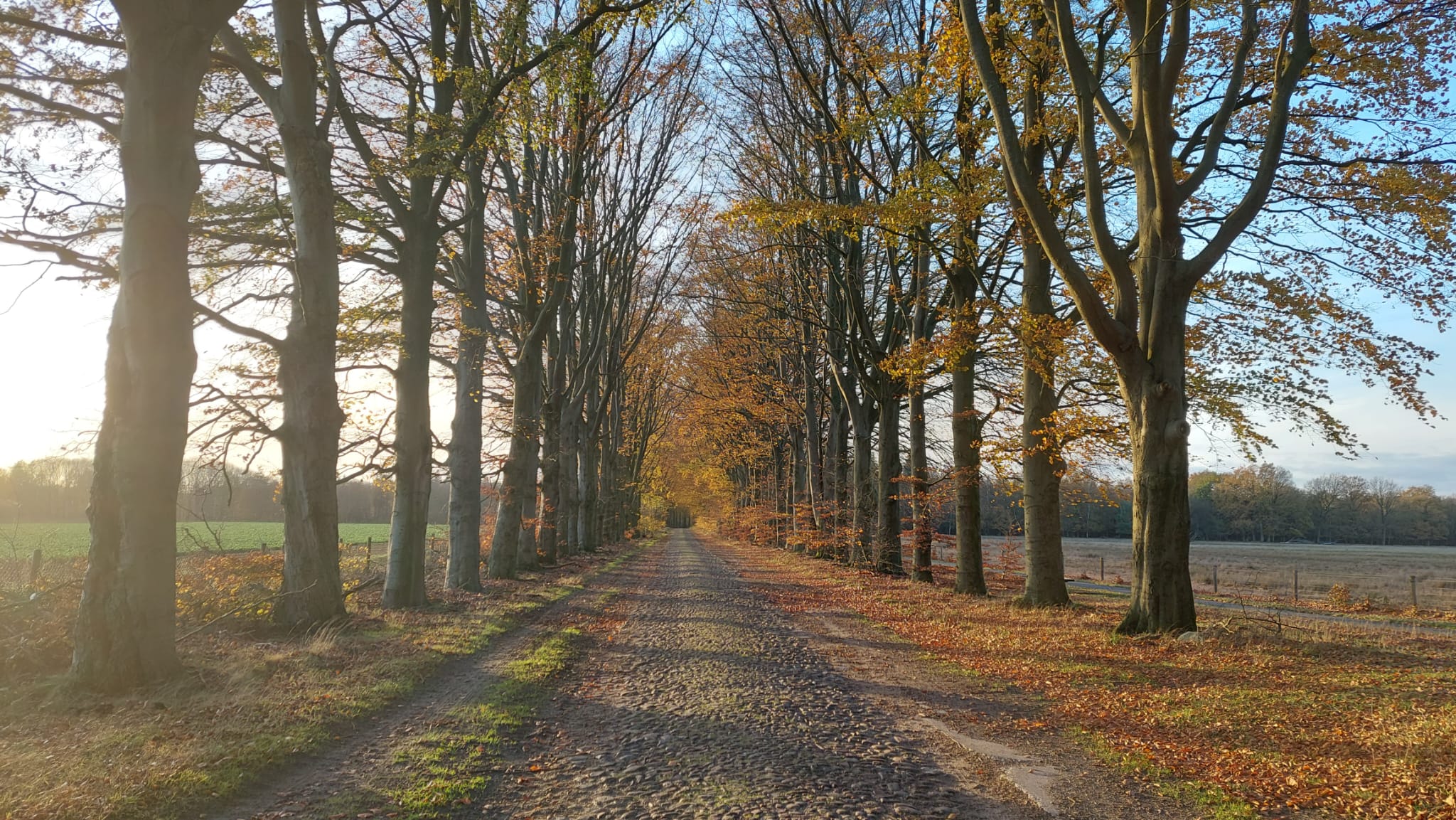 Vrijdag zon, zaterdag regen en meer wind