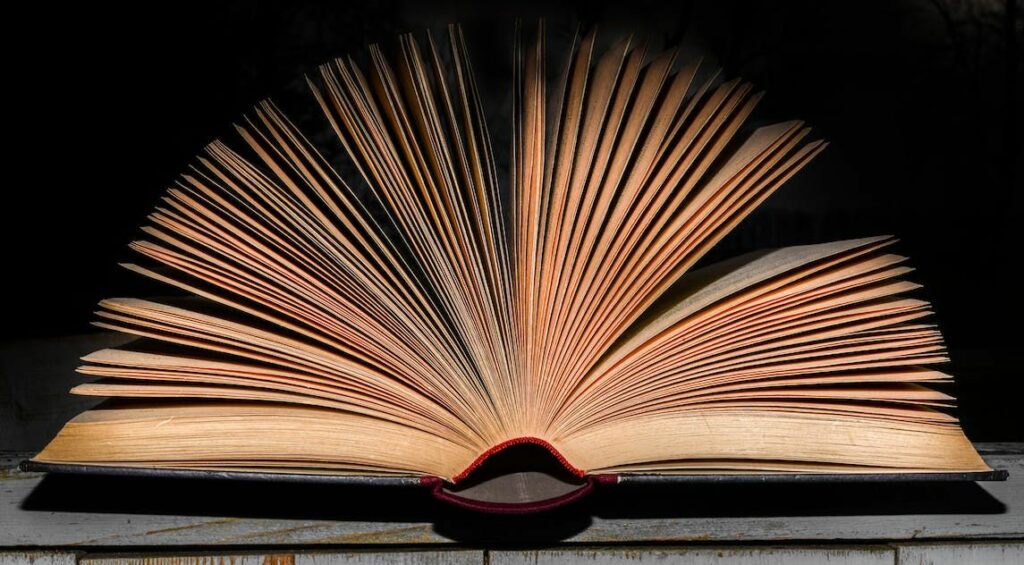 som scheuren spanning Tien boeken maken dit jaar kans op prijs voor Beste Groninger Boek | OOG  Groningen