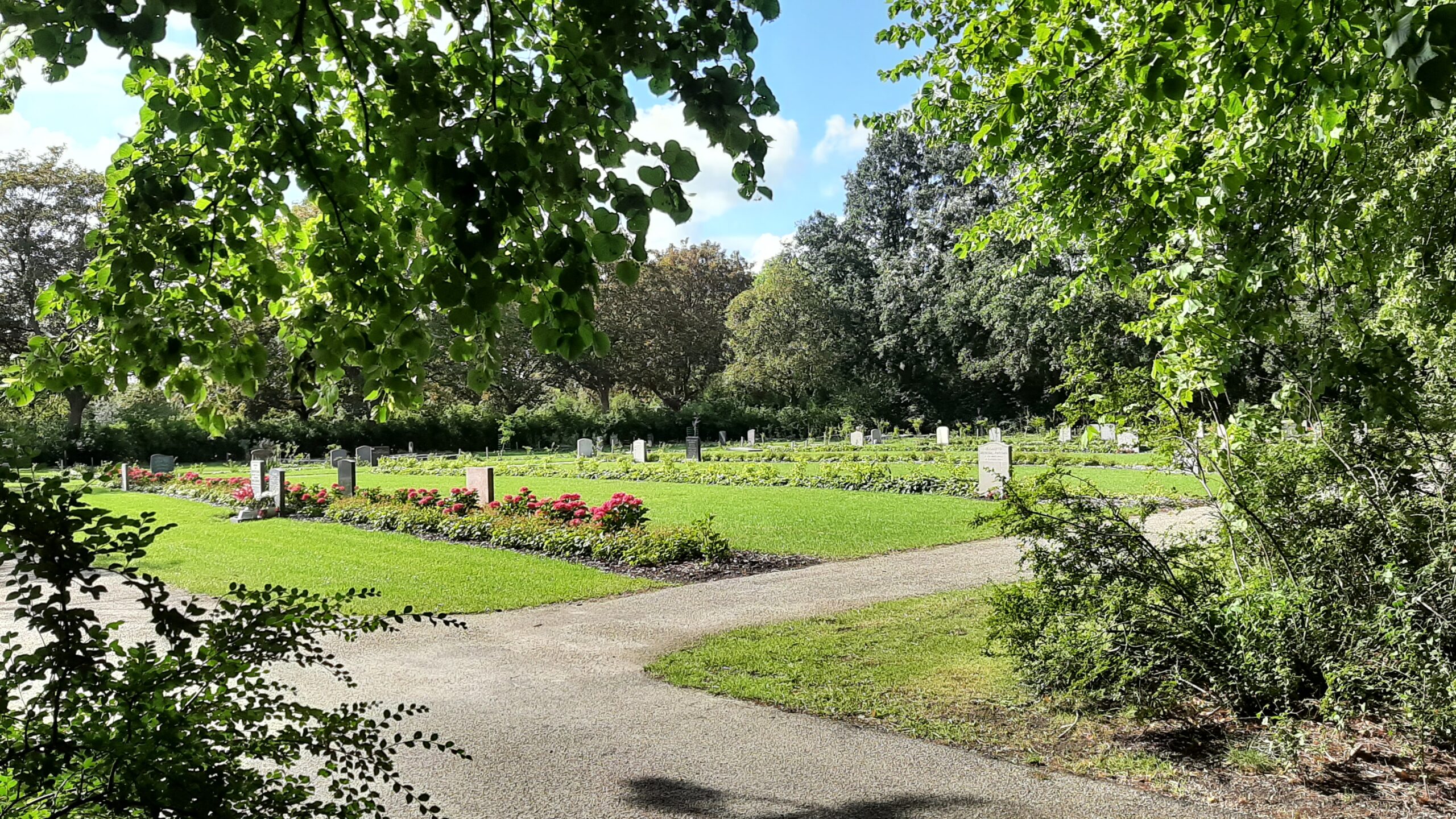 Digitale grafzoeker helpt graven terugvinden