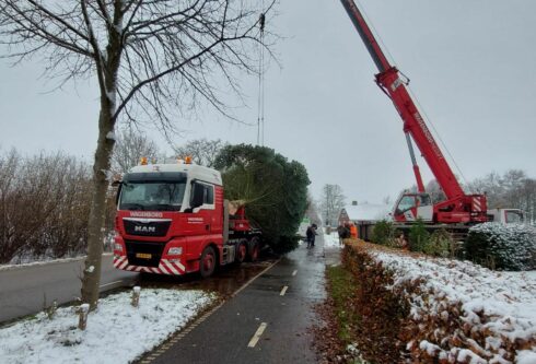 Kerstboom voor Grote Markt gekapt in Mussel