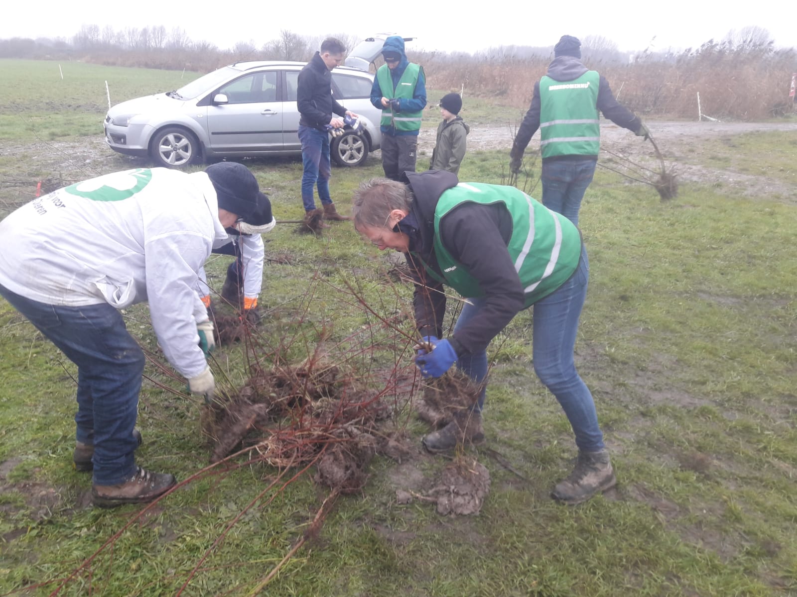 De Eco-fitnessdagen in Glimmen en Haren: spierballen bouwen en jonge bomen redden