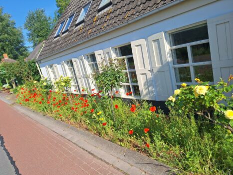 Kleurrijk spektakel in De Poffert: “Het is genieten”