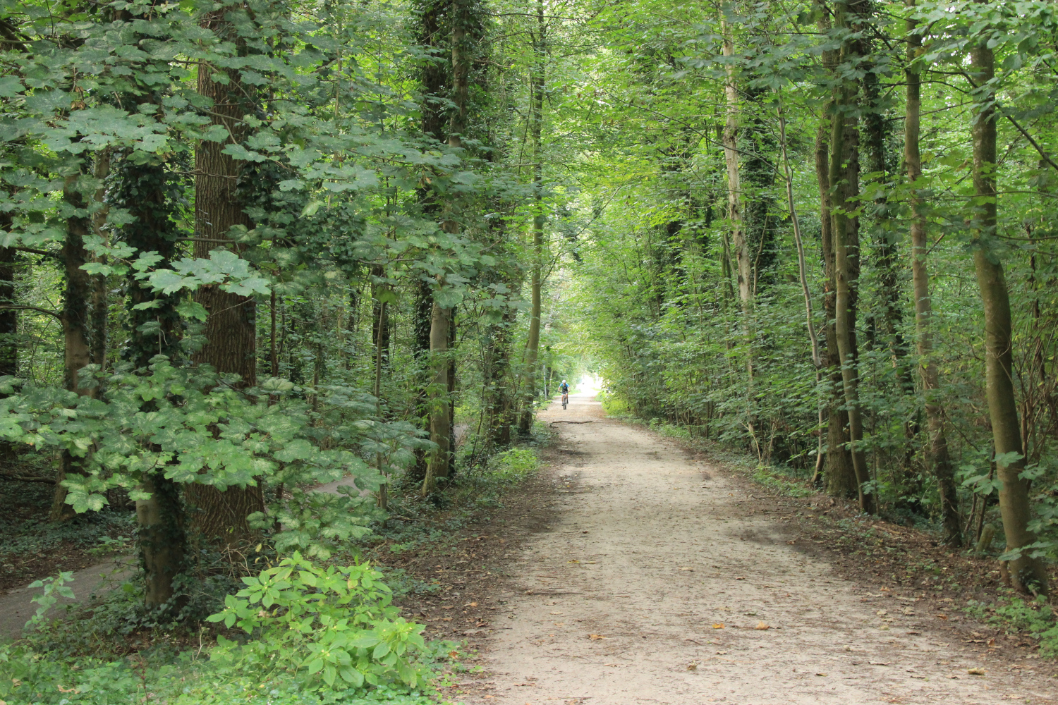 Plan ‘Mooi Gorecht’ gaat van start