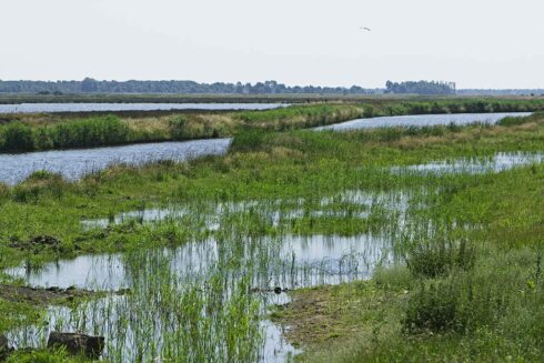 Polderpad week dicht vanwege onderhoud aan brug over Drents Diep