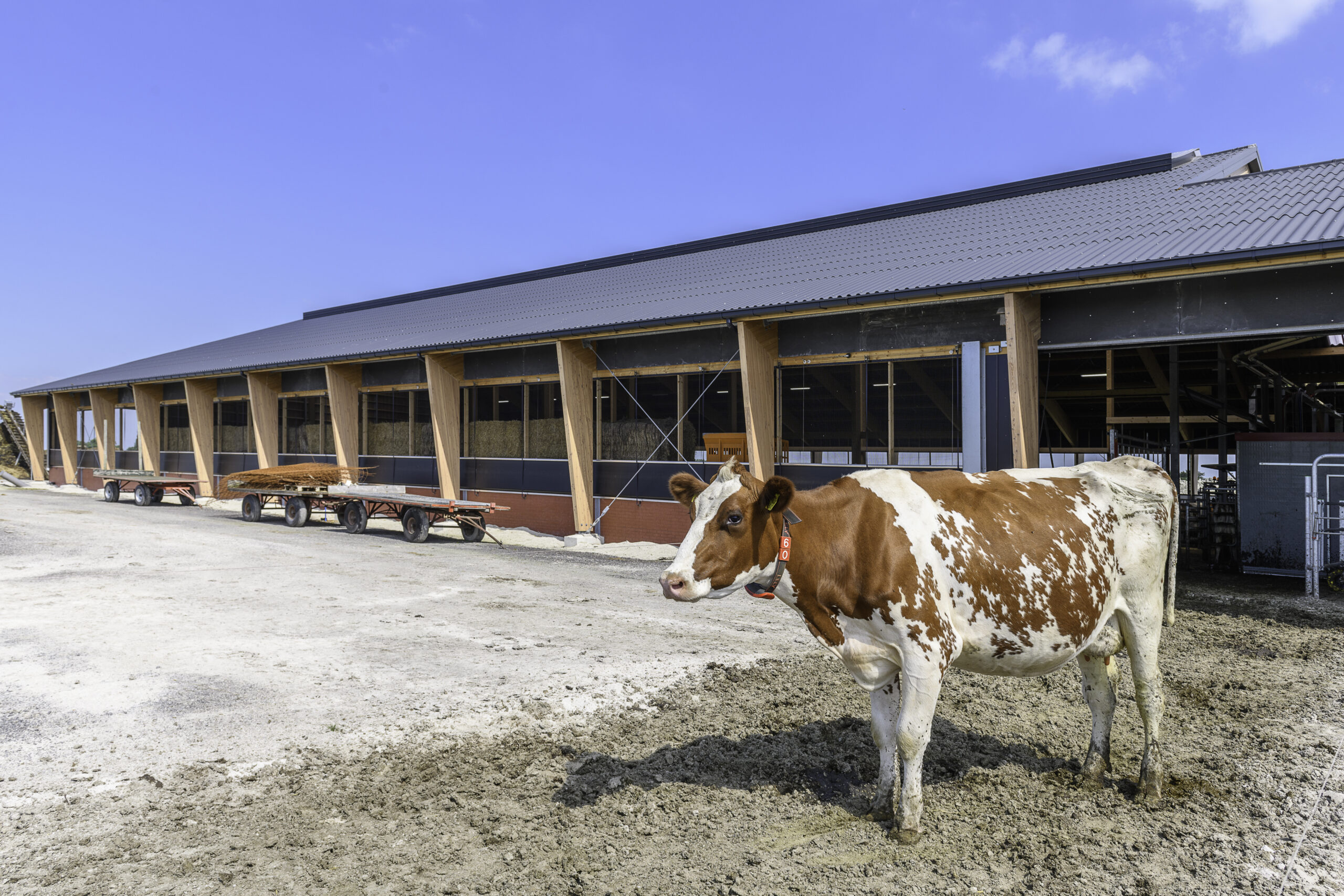 Slim boeren met kunstmatige intelligentie | De AI-fabriek uitgelegd