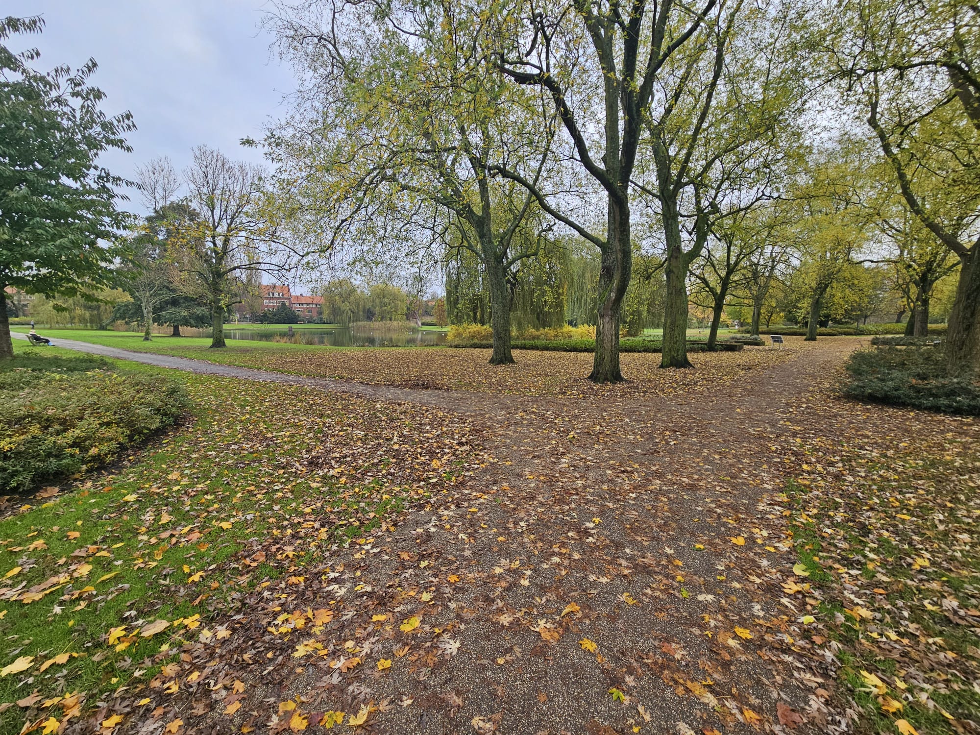 Dinsdag veelal droog met bewolking, temperatuur rond de 13 graden
