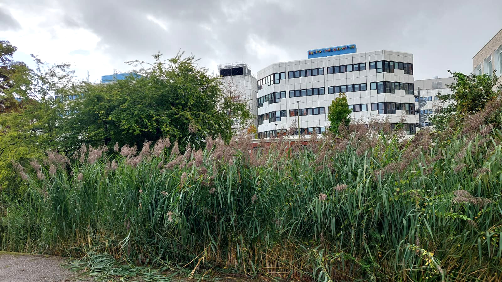 UMCG opereert vanaf januari weer patiënten met aangeboren hartafwijking: ‘Altijd professioneel en ve