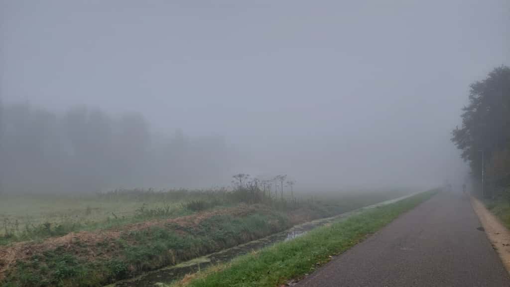 KNMI waarschuwt voor plaatselijk dichte mist tot in de late avond