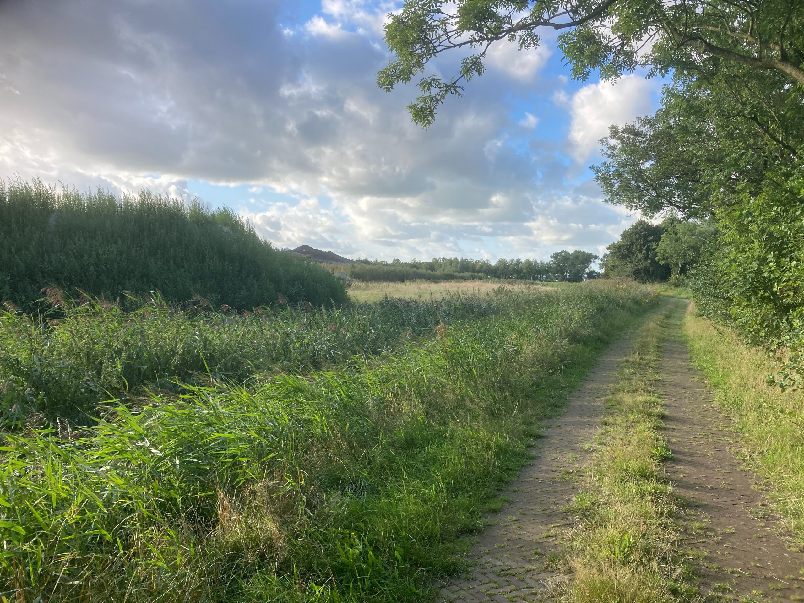 Avondwandeling Het Groninger Landschap in Noordlaren geannuleerd wegens stormschade