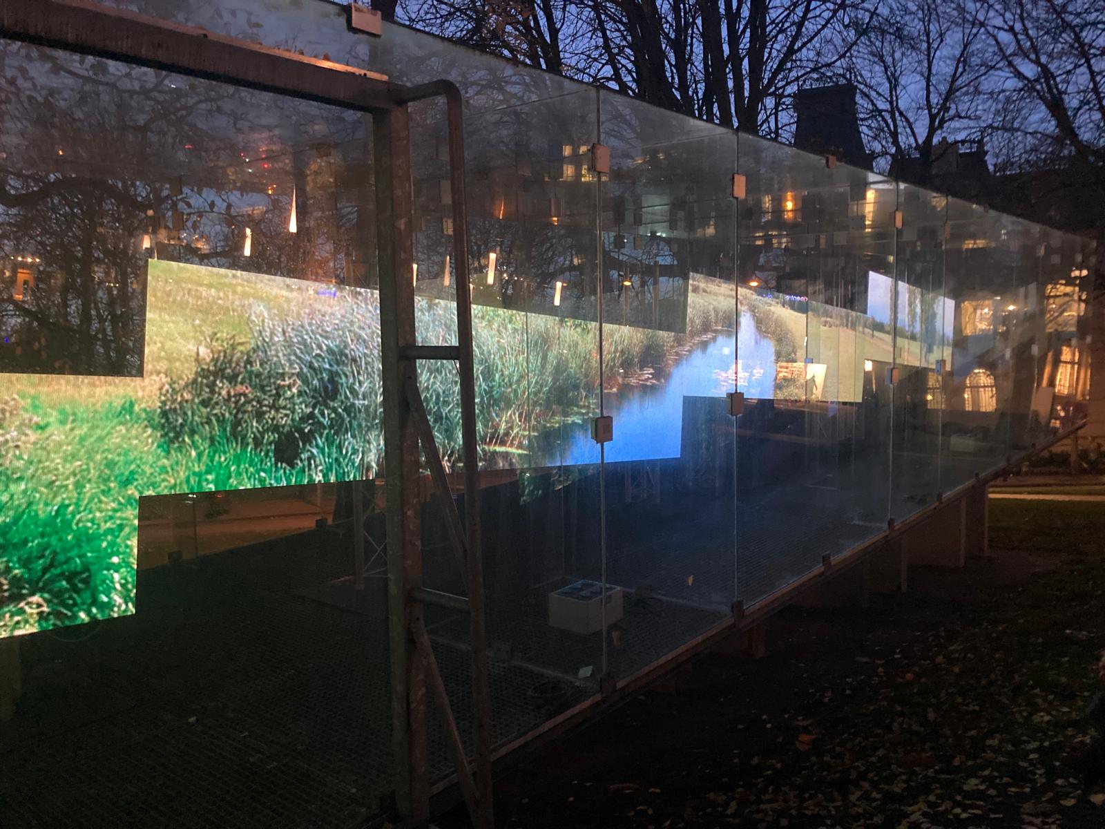 Hoe de natuur er ooit uitzag: een poëtisch videowerk in het Tschumipaviljoen