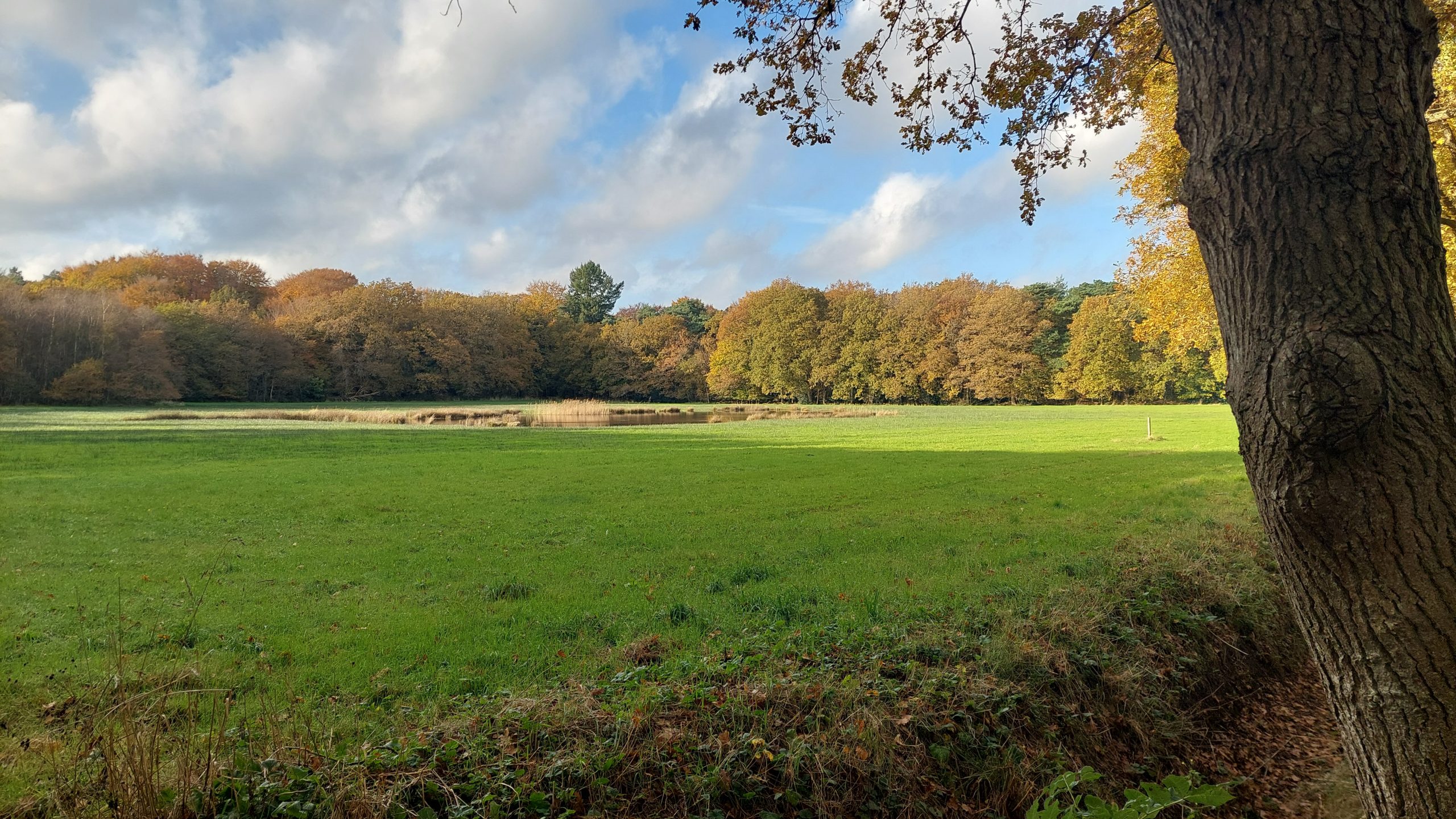 Dinsdag blijft het droog en is het overwegend zonnig
