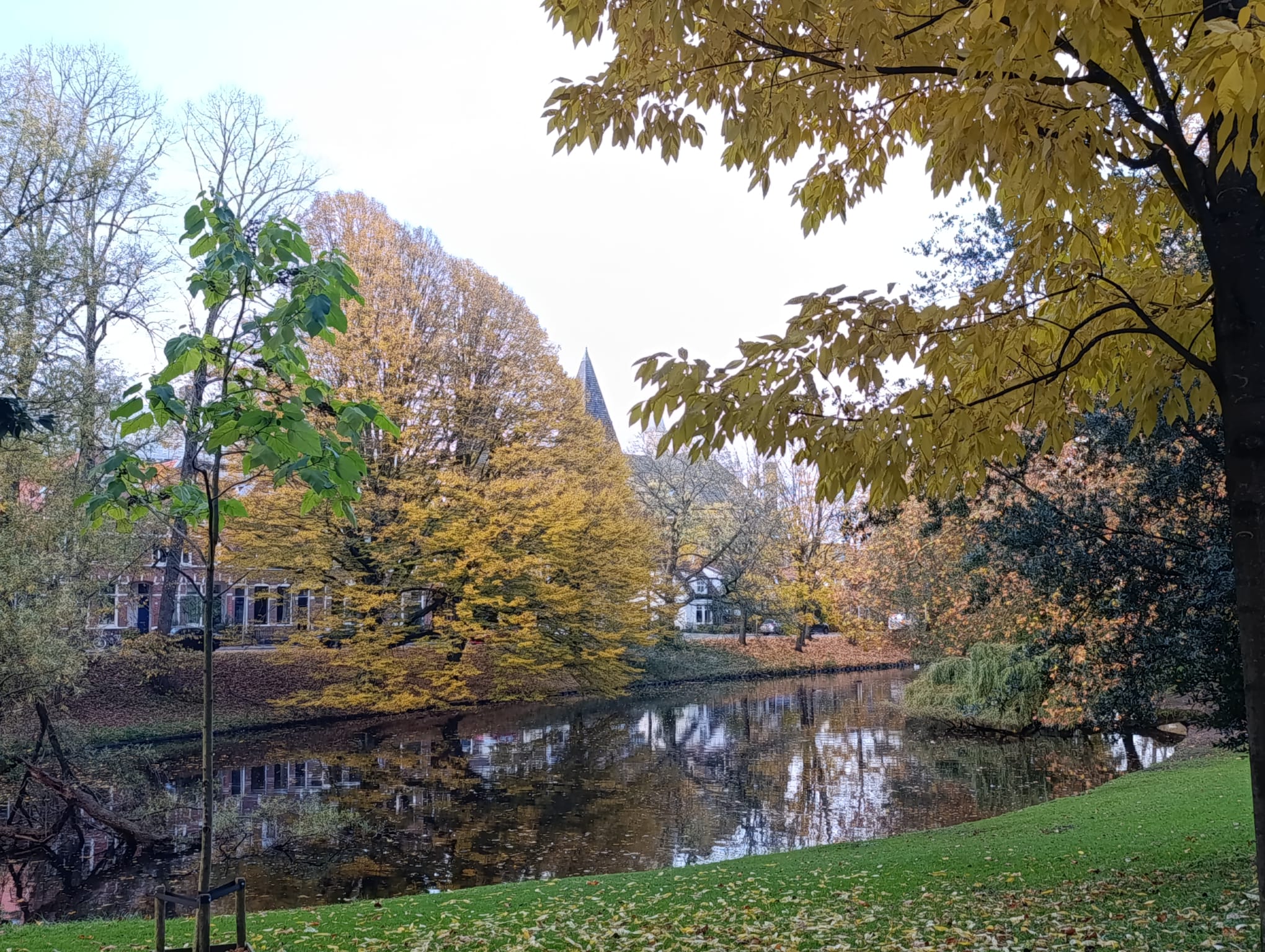 Vrijdag droog met later kans op zon