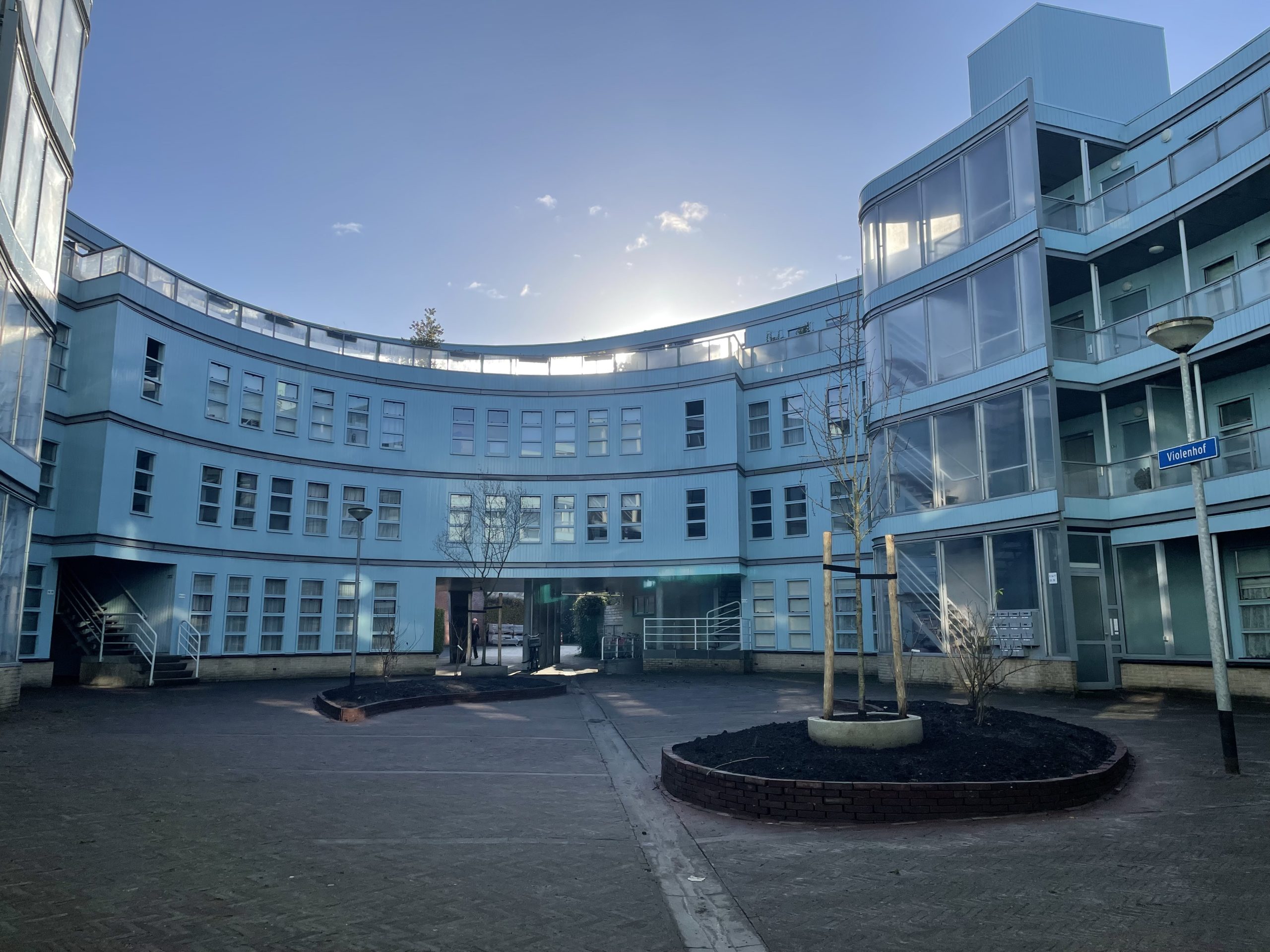 Violenhof krijgt groene make-over: nieuwe bomen, plantvakken en plannen voor 2026