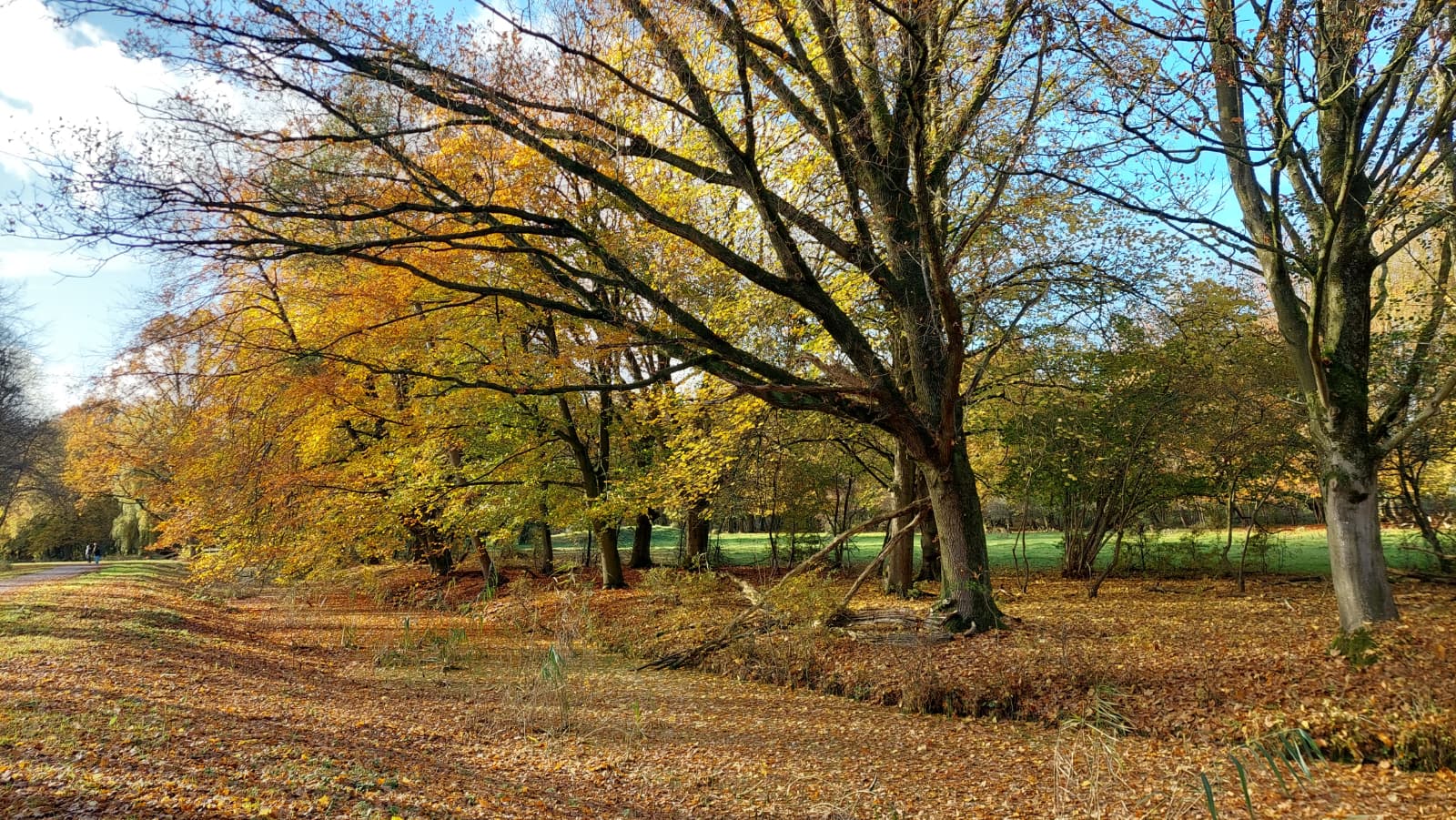 “Maandag opklaringen en bewolking, komende dagen droog”