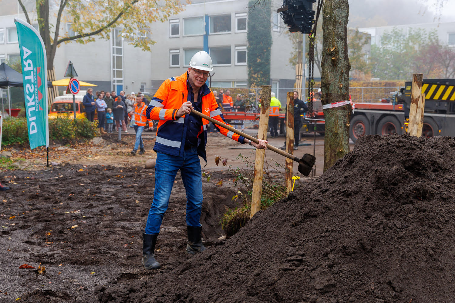 Lindebomen uit ‘bomenhotel’ Ring-Zuid keren terug aan Helperzoom