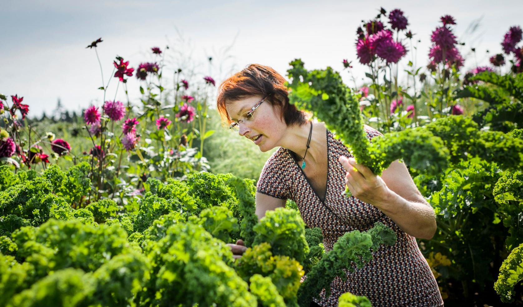 Miljoenen voor nieuw project om overgewicht onder Groningers aan te pakken