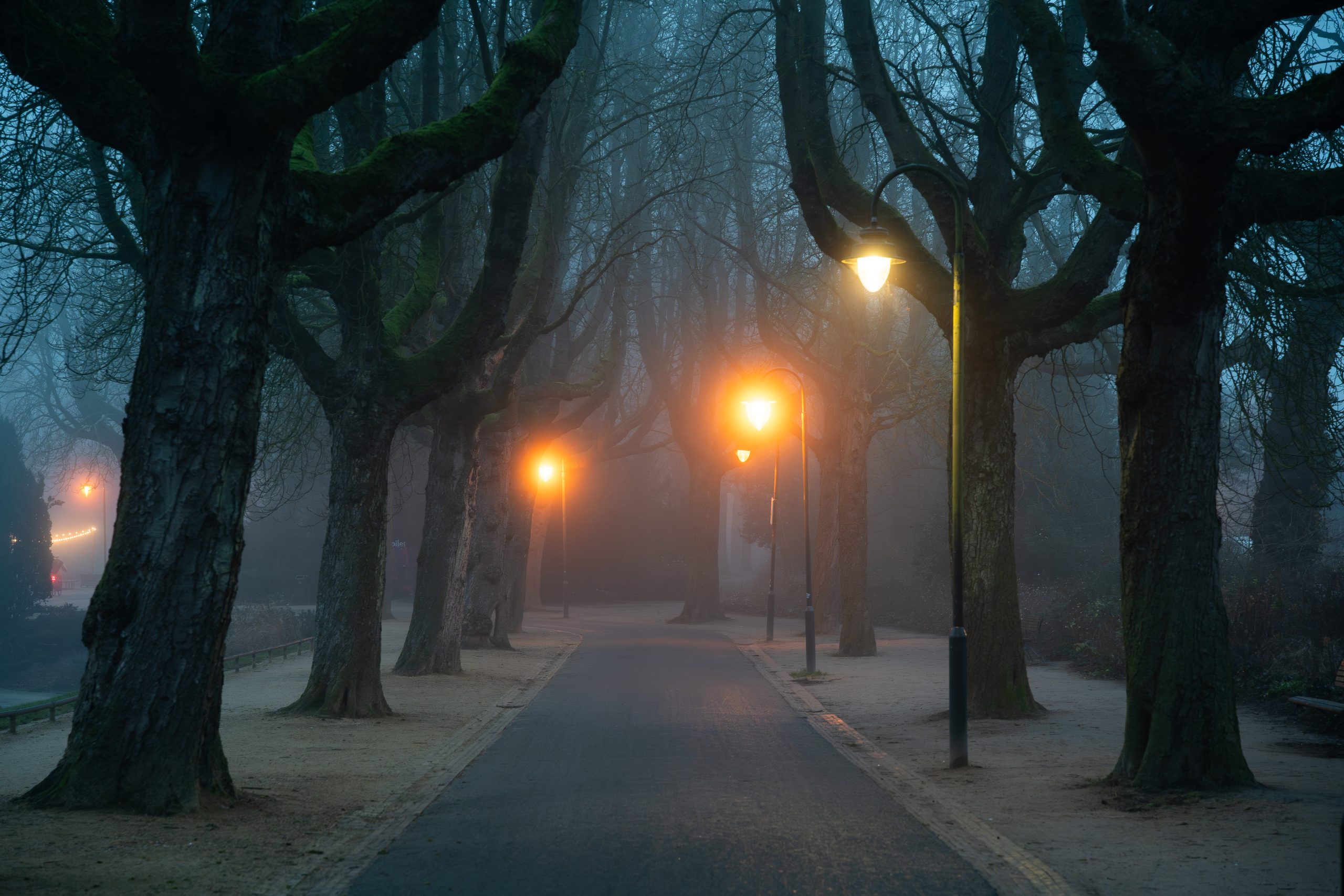 Zondag droog met waterig zonnetje