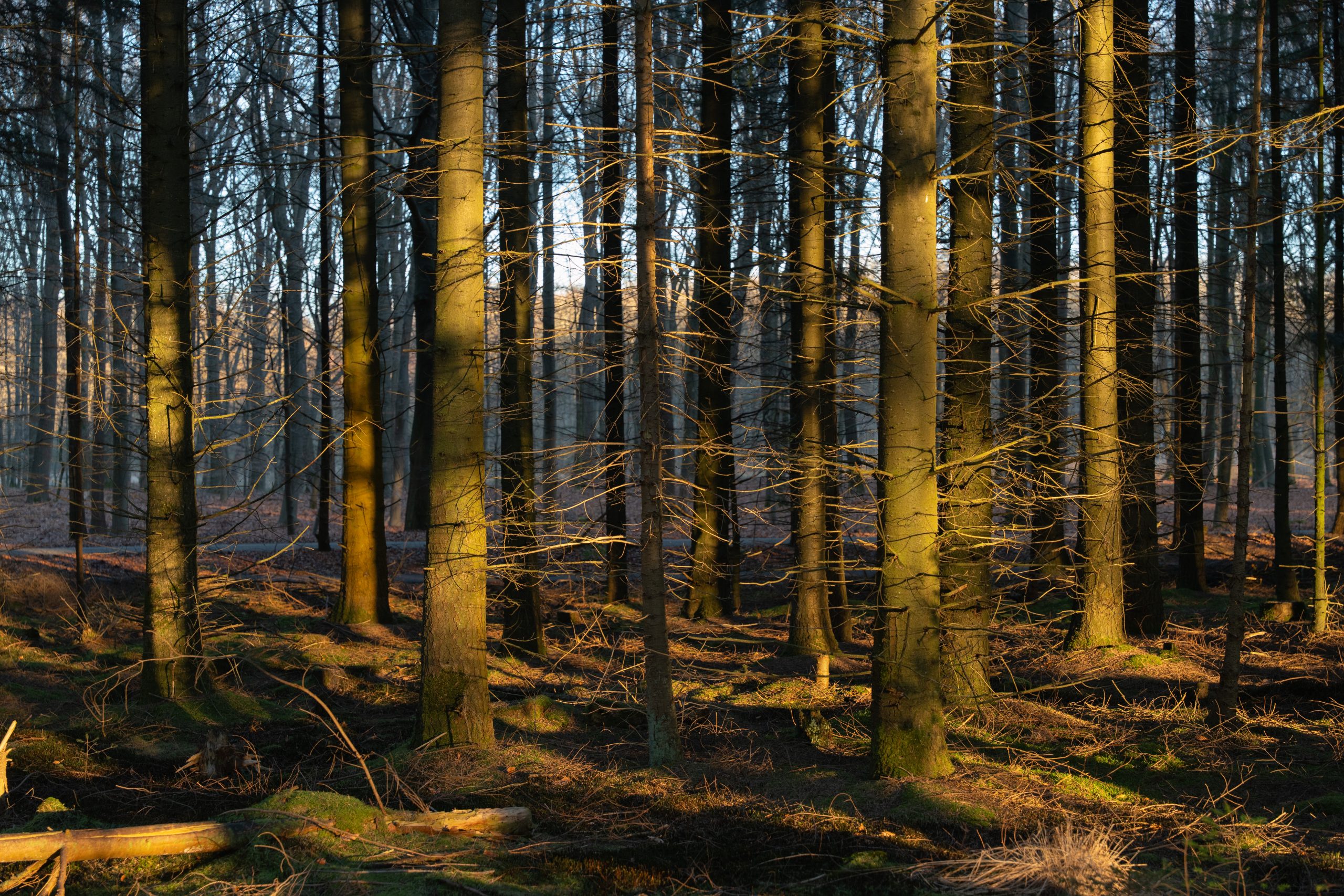 In de nacht naar zondag kans op gladheid, zondag overdag vrij koud