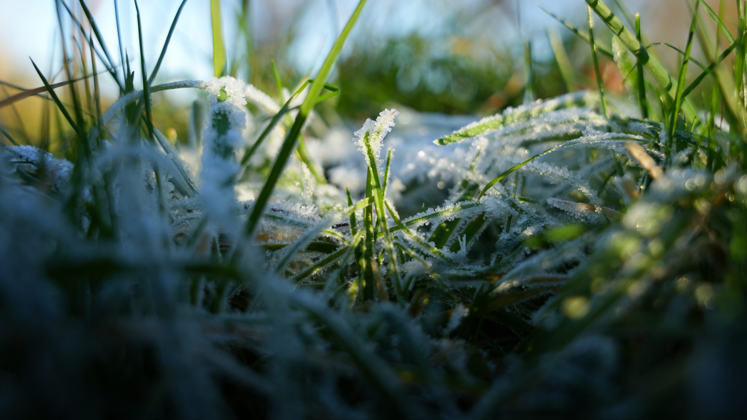 “Maandag kans op lichte sneeuw, ook op dinsdag en woensdag mogelijk sneeuwval”