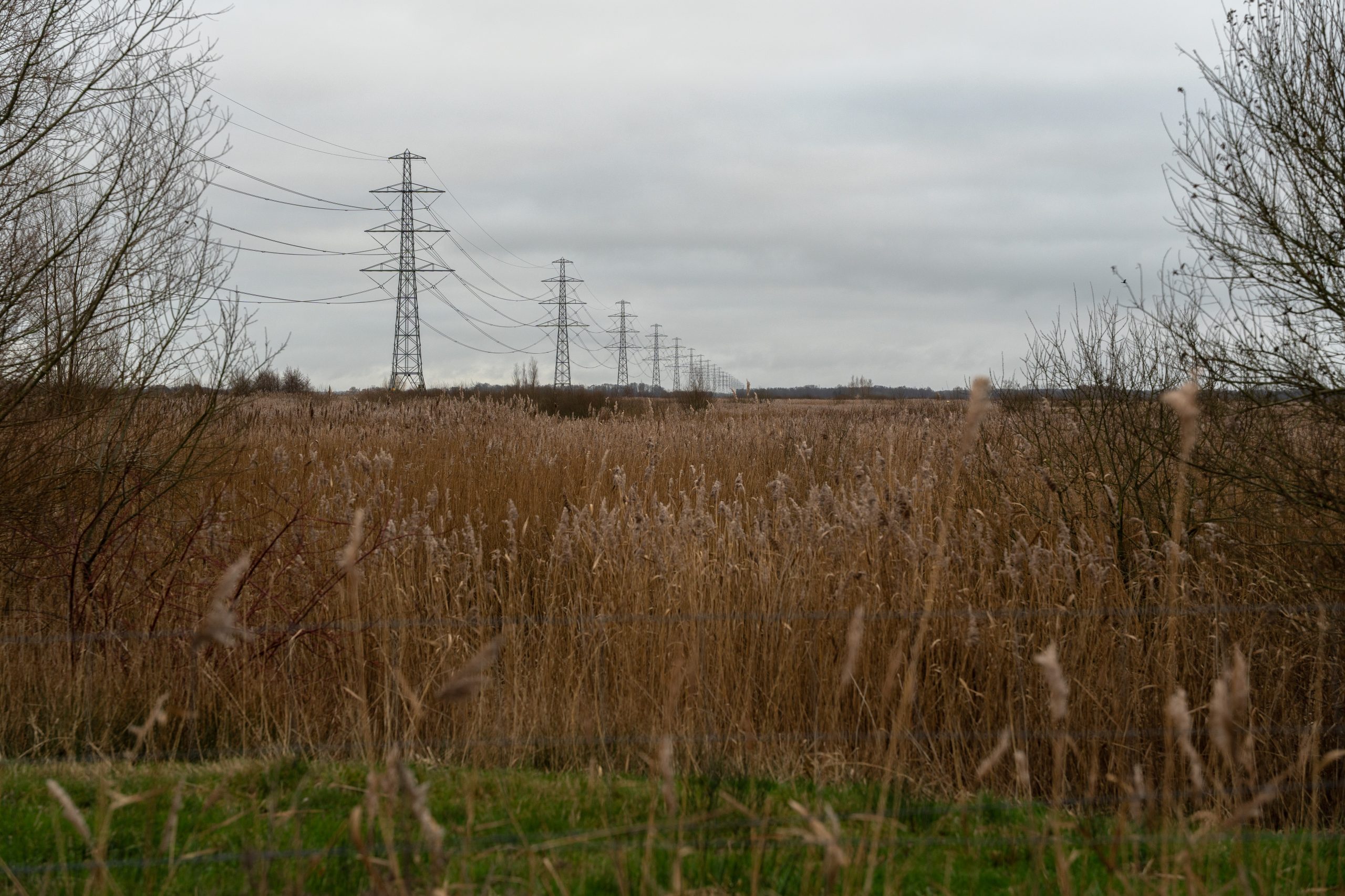 Vrijdag zacht en droog met veel bewolking