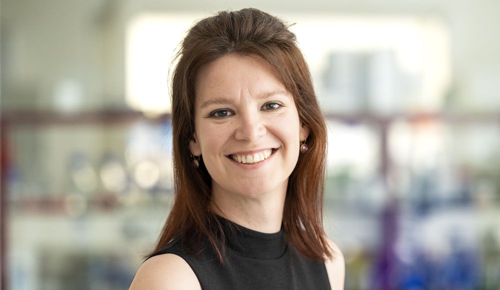 Onderzoeker UMCG bouwt mini-hartspiertjes om erfelijke hartziekten op te sporen