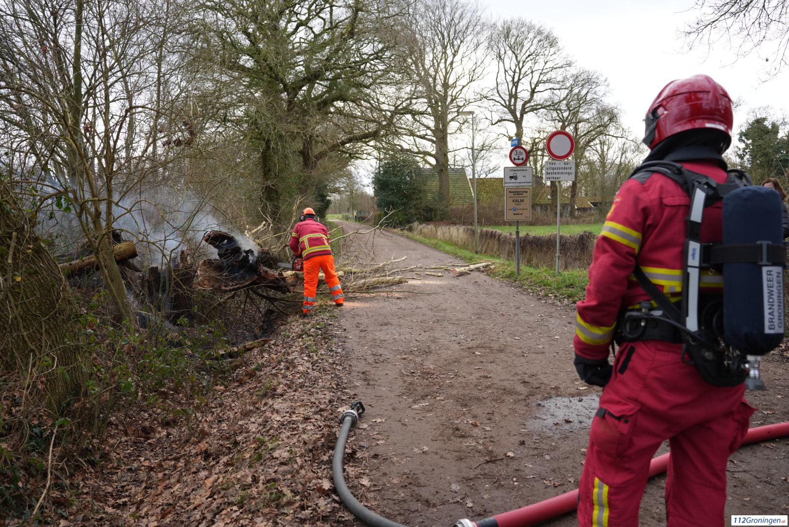 Boom in Onnen legt brandend het loodje