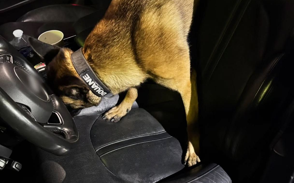 Man (58) en vrouw (50) aangehouden voor drugshandel