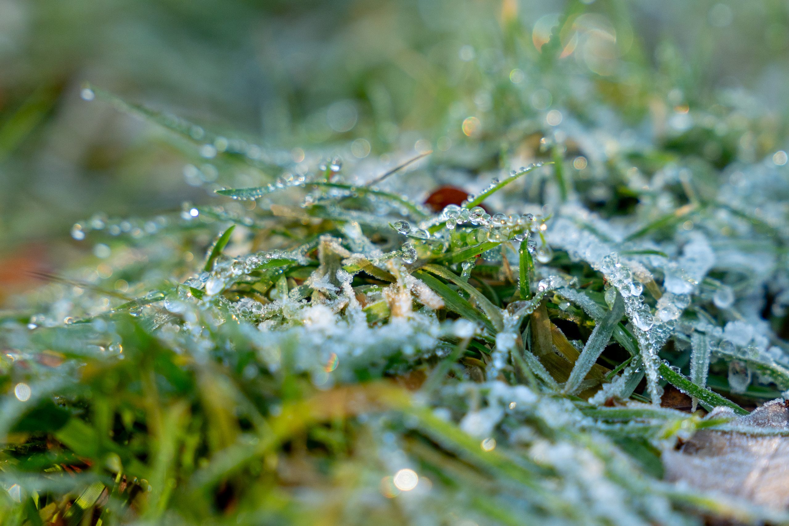 Iets warmer en iets droger, kleine pauze in het winterweer