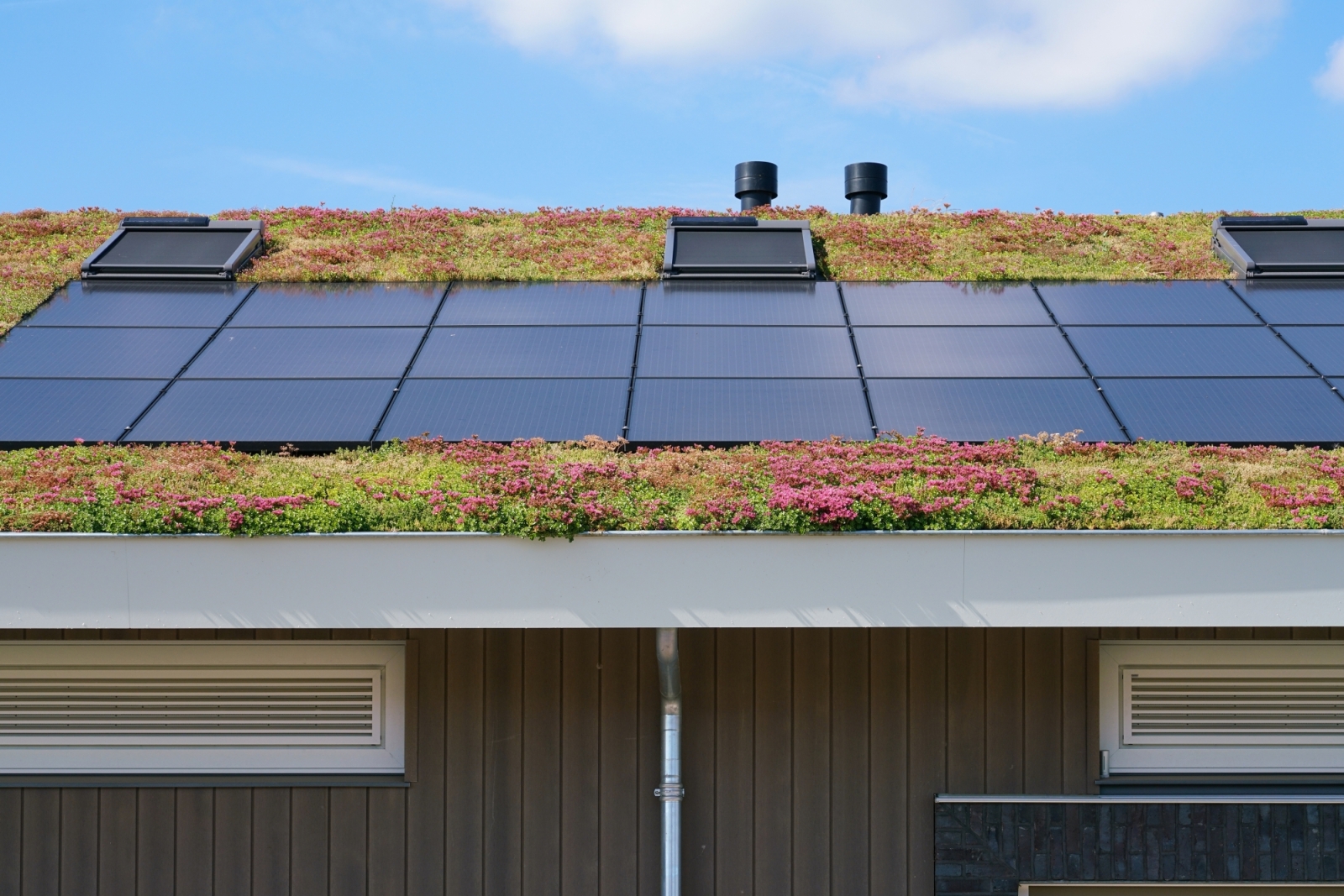 Subsidie beschikbaar voor vergroenen van tuin of dak