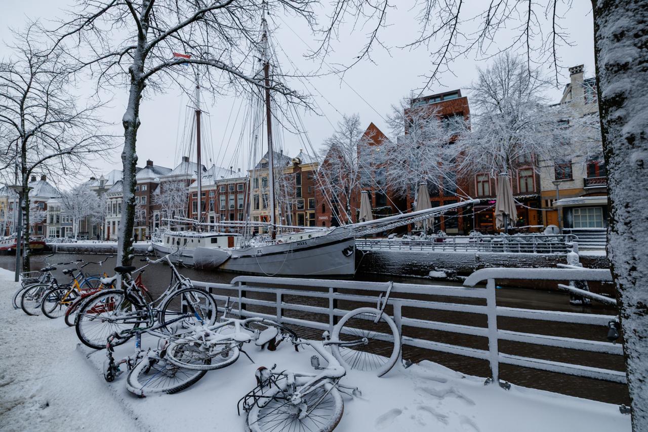 “Oostzee lijkt roet in het eten te gooien voor lage temperaturen, in de ochtend kans op mist”