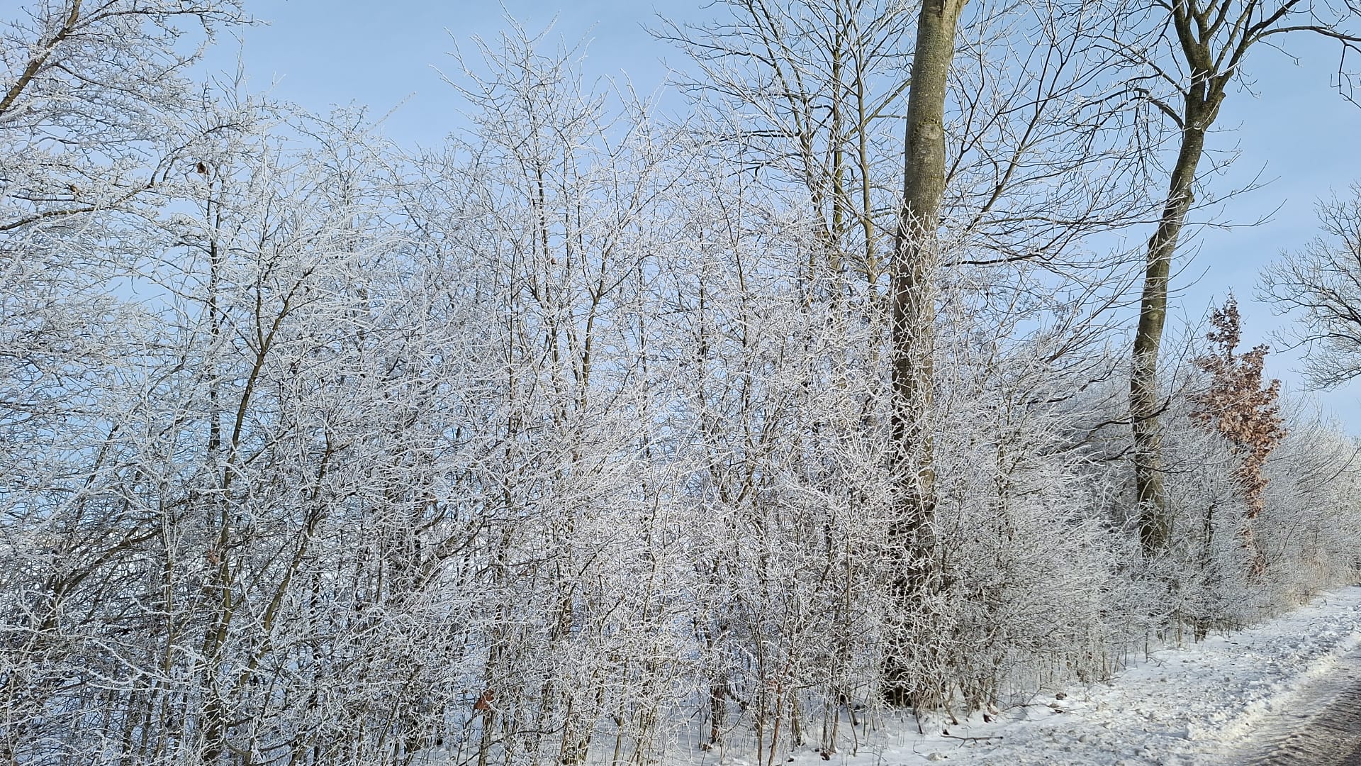 “Maandag langdurige gladheid: sneeuw en lichte regen vallen op bevroren ondergrond”