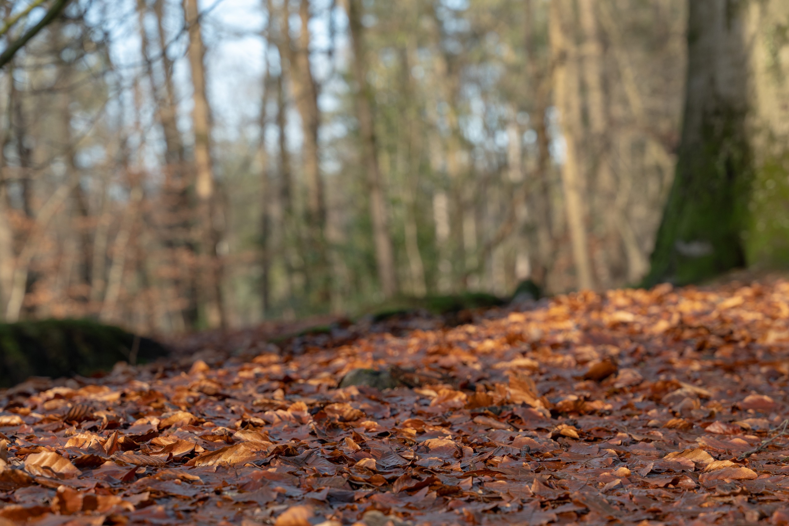 “Maandag na nevel zonnige perioden, later in de week kouder”