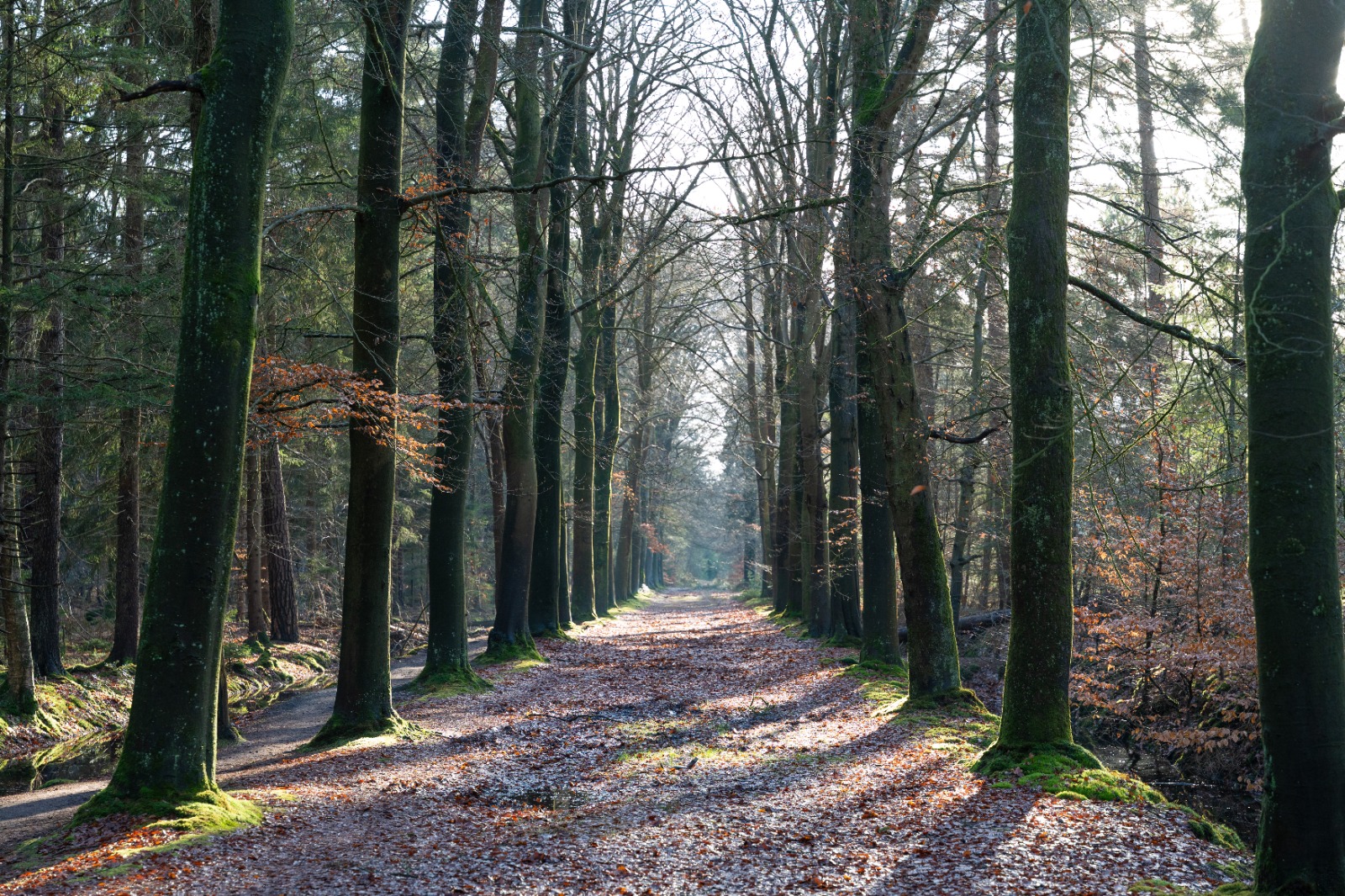 “Woensdag perioden met zon, in weekend temperaturen overdag onder nul”